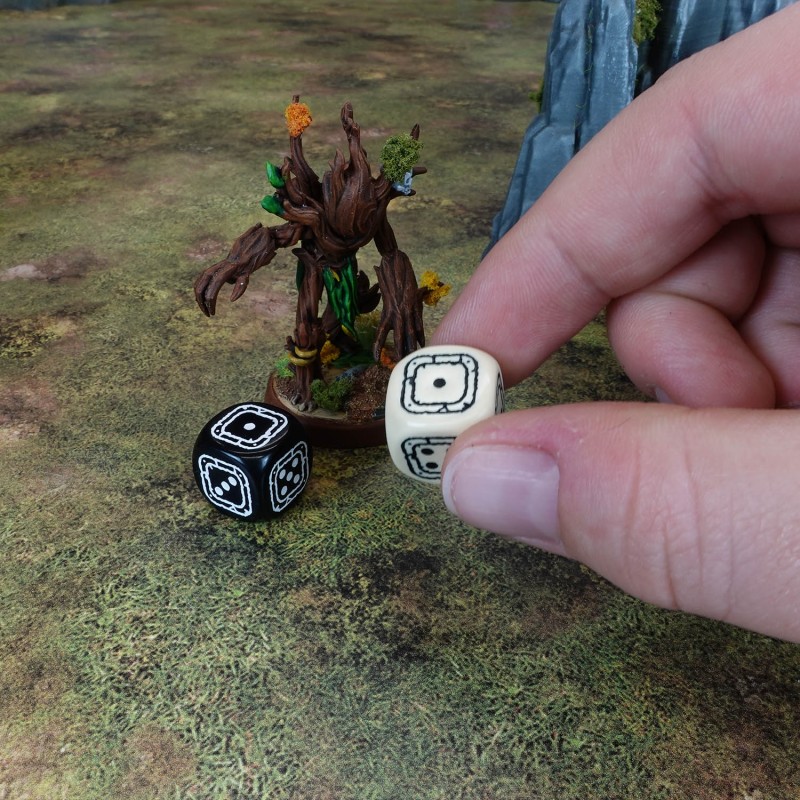 Fortress Compact D6: Black & Beige 3