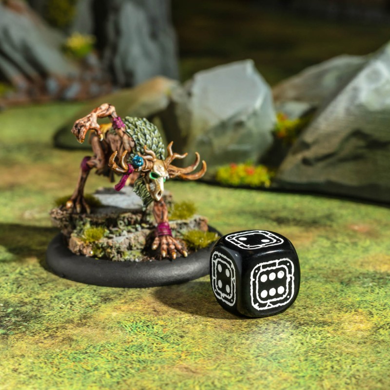 Fortress Compact D6: Black & Beige 5