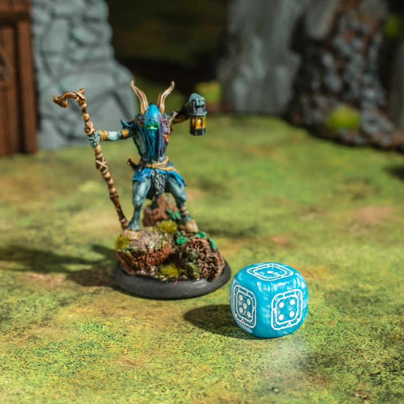 Fortress Compact D6: Black & Blue 4