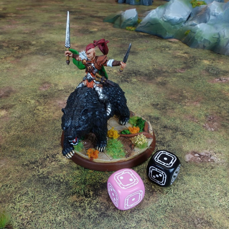 Fortress Compact D6: Black & Pink 3