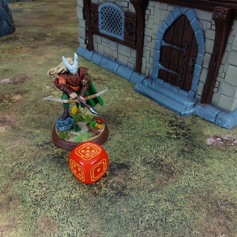 Fortress Compact D6: Black & Red 2