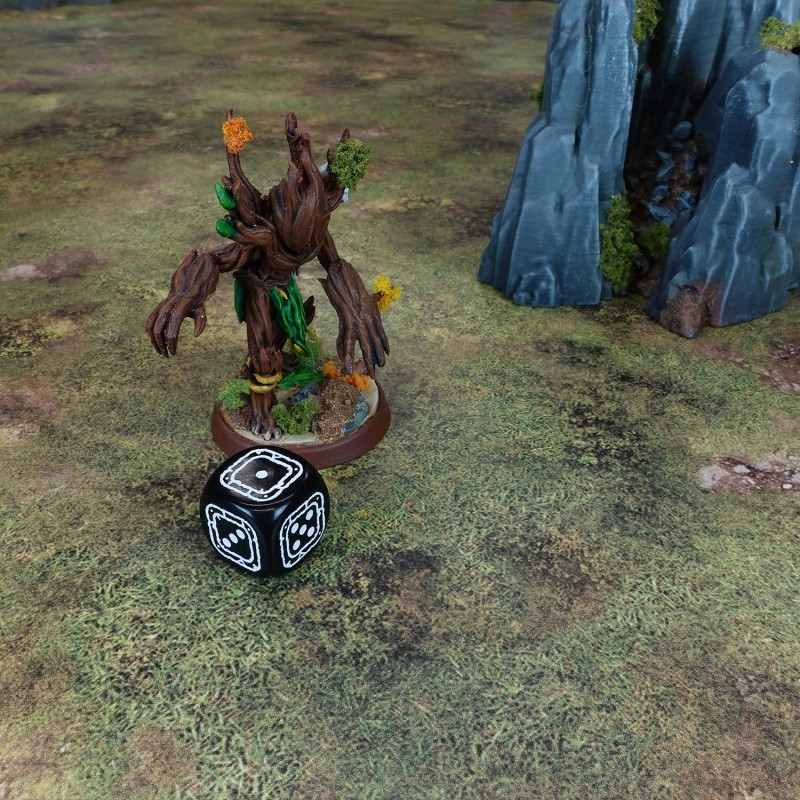 Fortress Compact D6: Black & Red 3