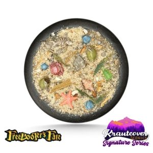 Freebooters Fate Booty Beach Basecover 1