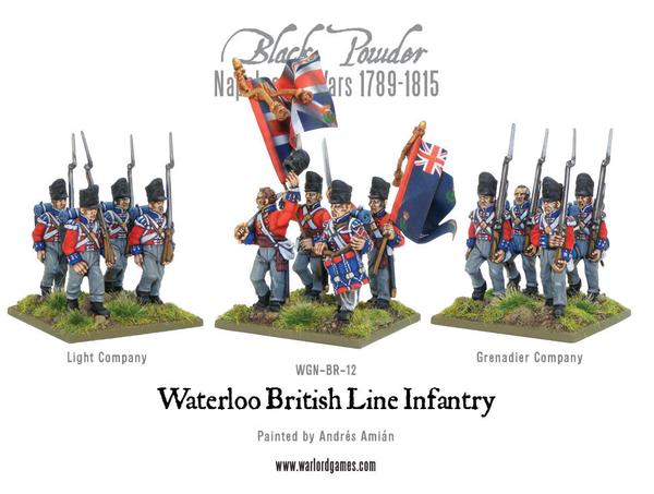 Black Powder - British Waterloo Line Infantry 3