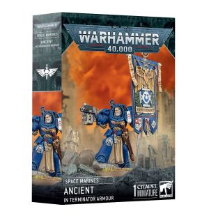 Space Marines: Ancient in Terminator Armour 1