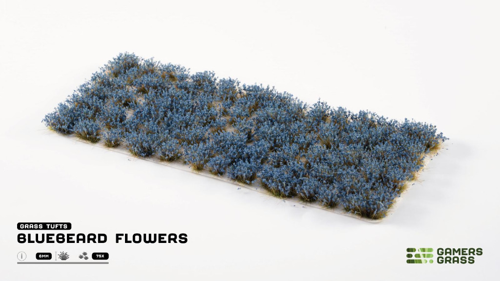 Bluebeard Flowers 1