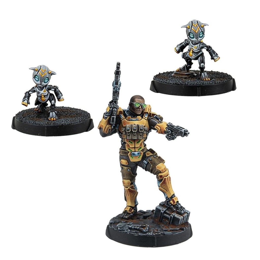 Gui Feng Xi Zhuang (Combi Rifle) 2