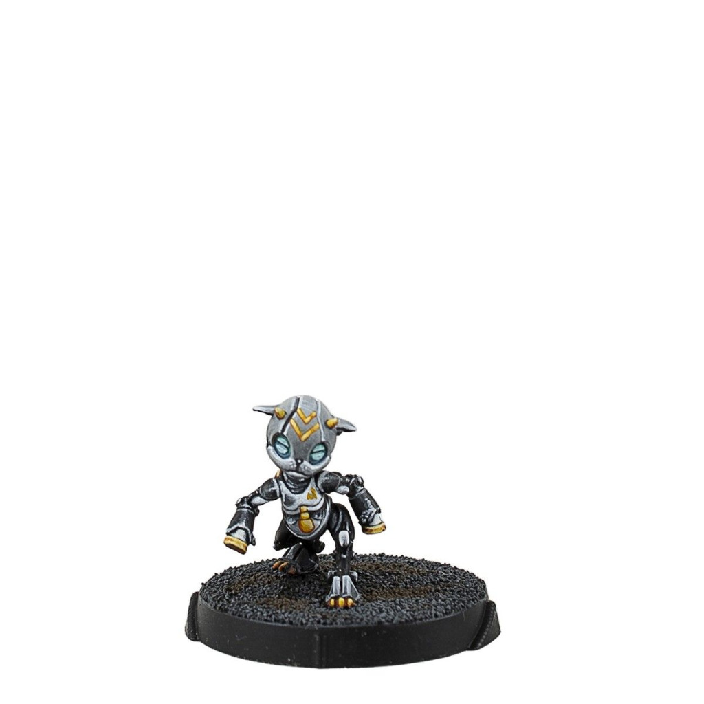 Gui Feng Xi Zhuang (Combi Rifle) 6