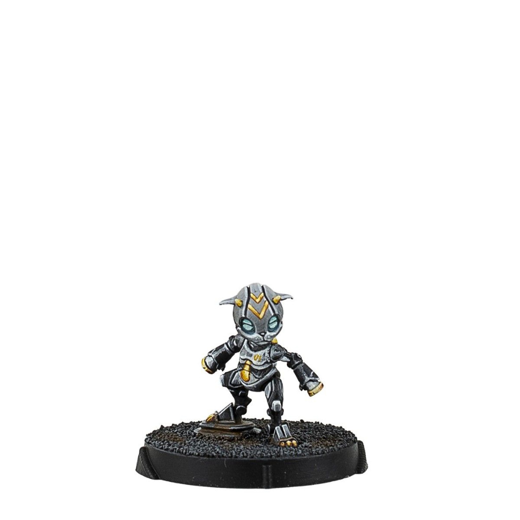 Gui Feng Xi Zhuang (Combi Rifle) 7