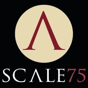 Scale 75 Paints