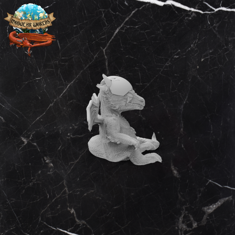 Dragon Hatchling 9