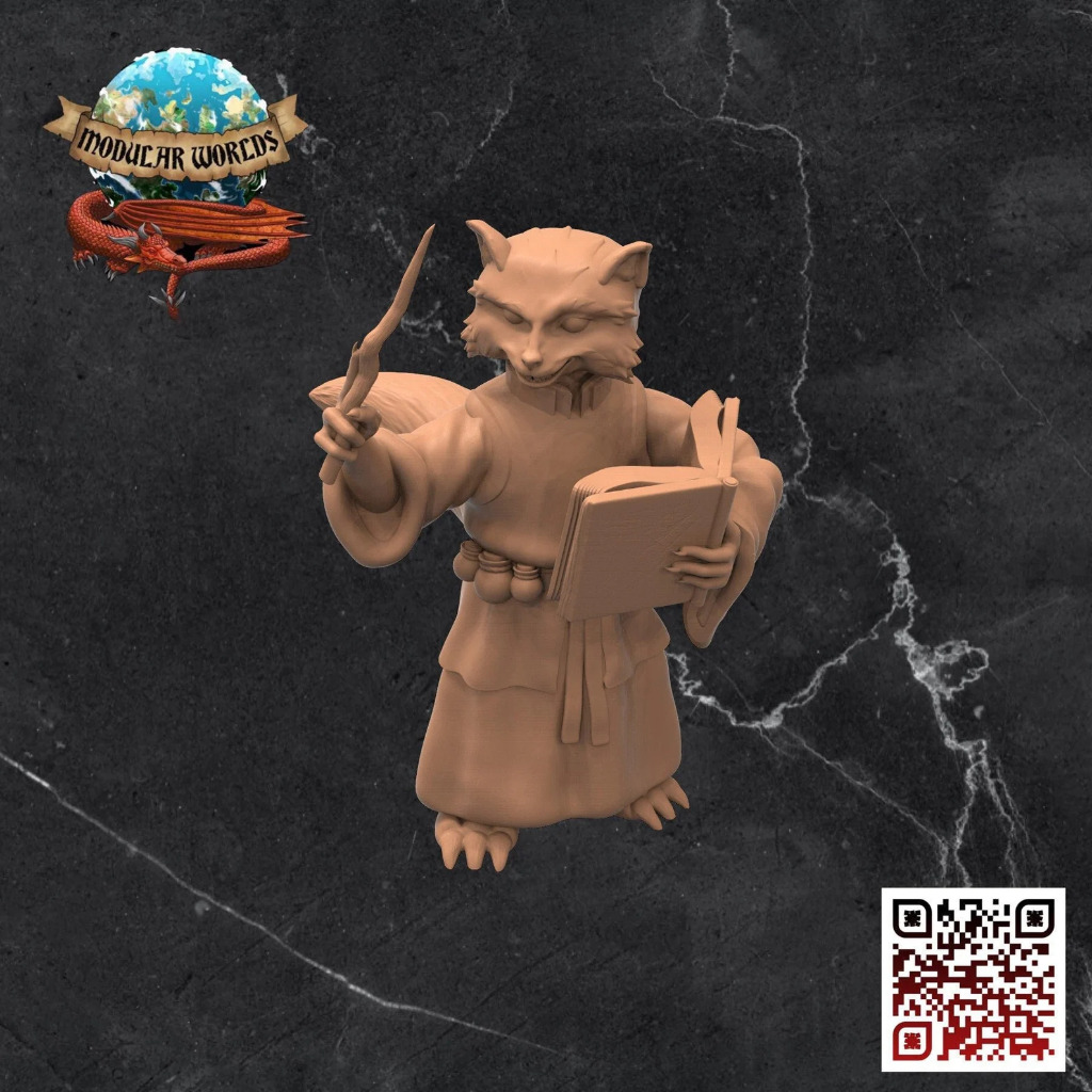 Raccoonfolk Wizard 1