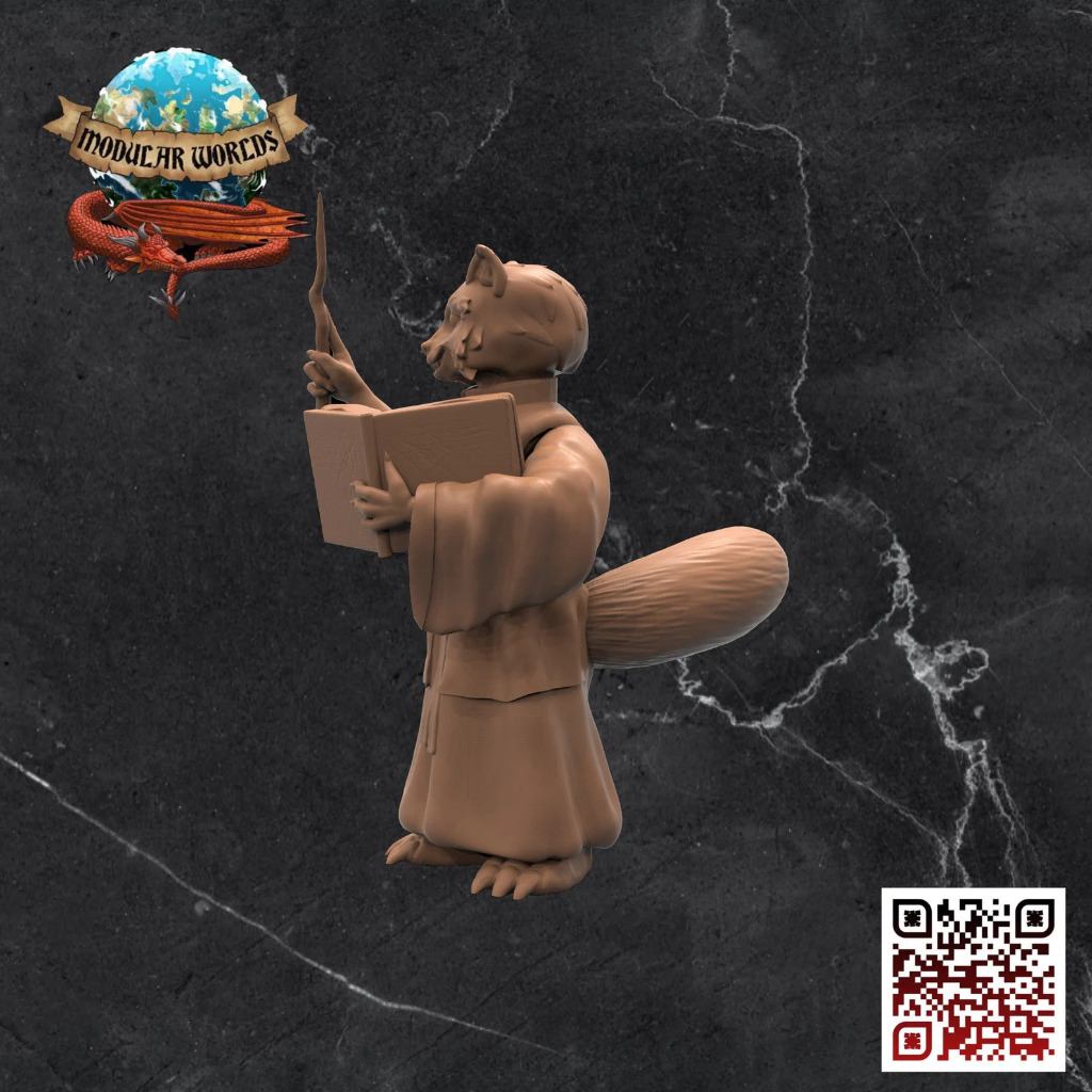 Raccoonfolk Wizard 3