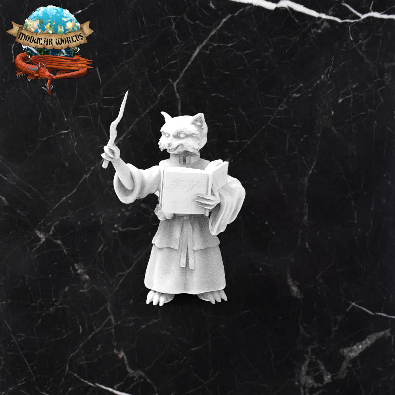 Raccoonfolk Wizard 6