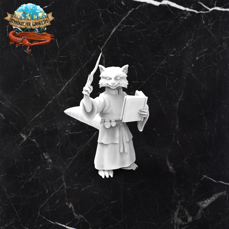 Raccoonfolk Wizard 7