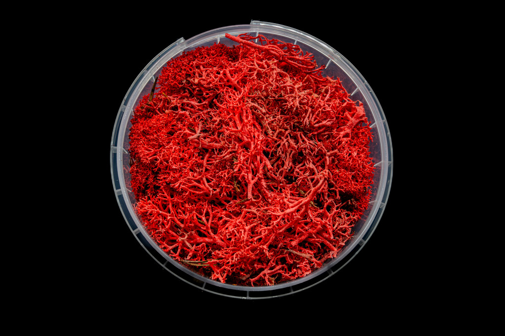 Bleeding Hedge Basing Material 1