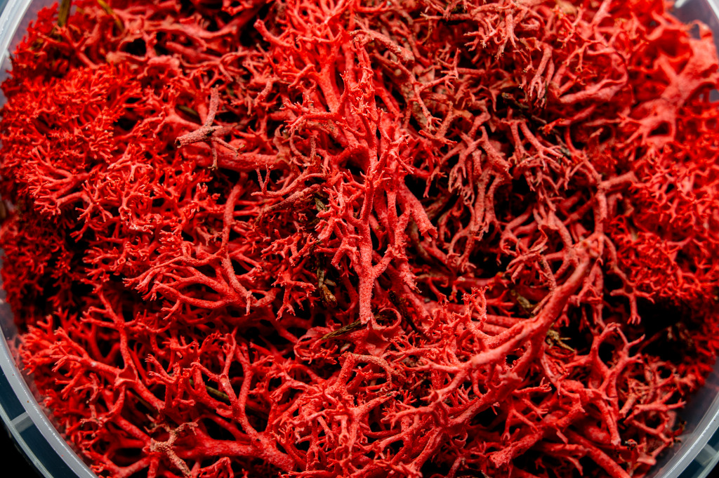 Bleeding Hedge Basing Material 2