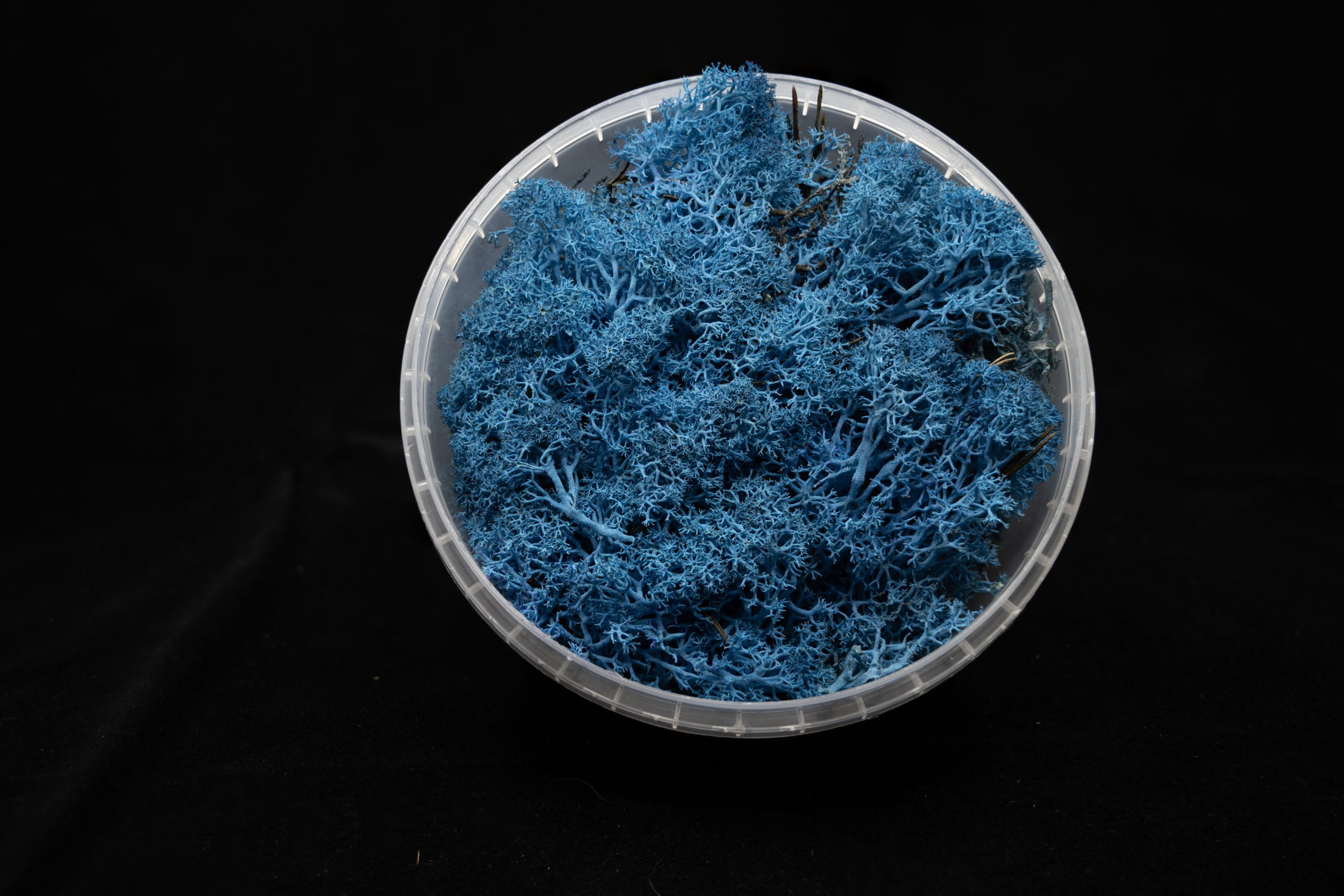 Coral Blue Hedge Basing Material 1