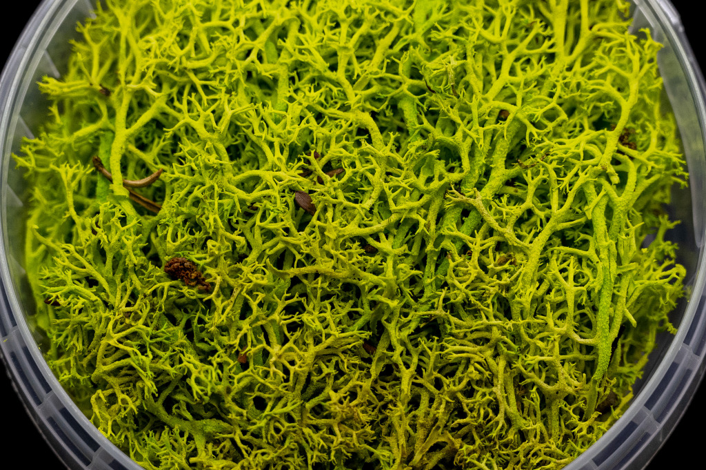 Toxic Hedge Basing Material 1