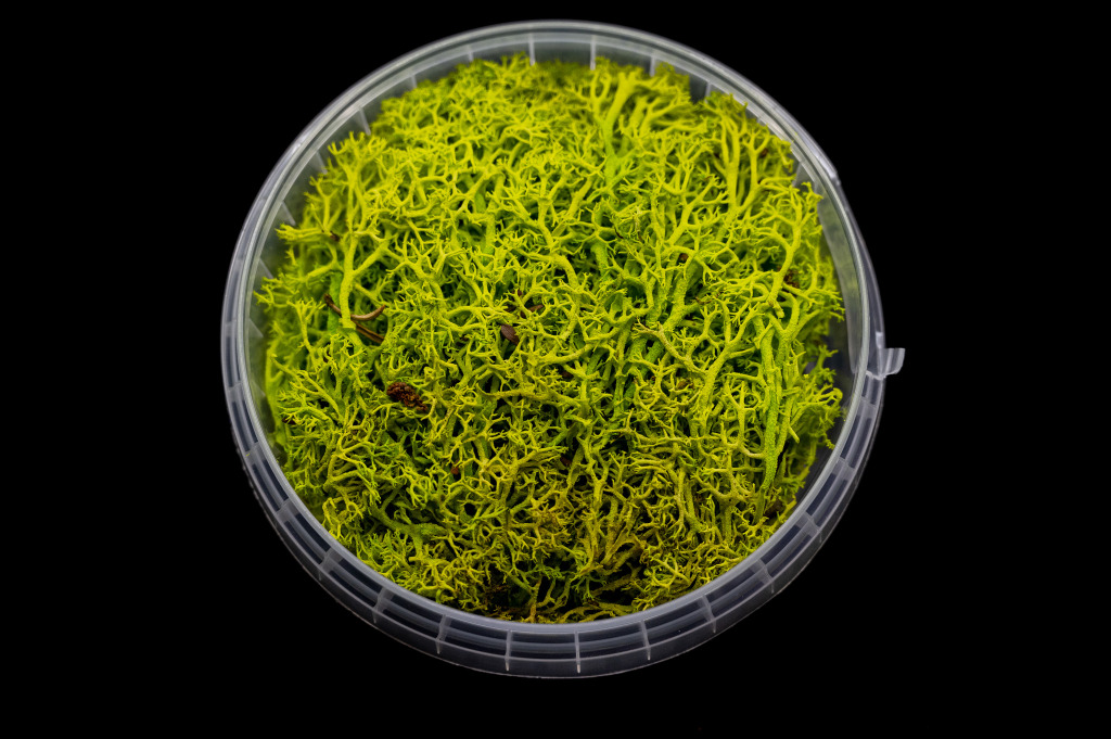 Toxic Hedge Basing Material 2