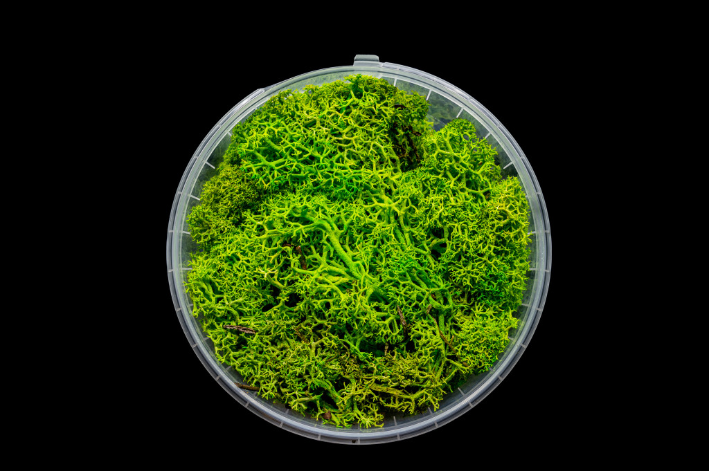 Lush Hedge Basing Material 1