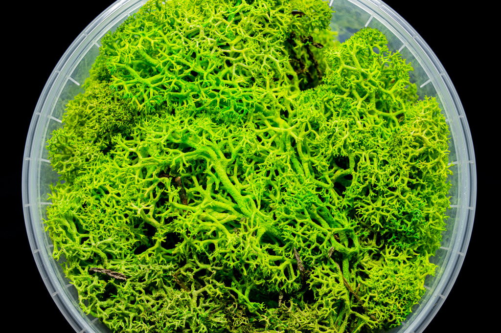 Lush Hedge Basing Material 2