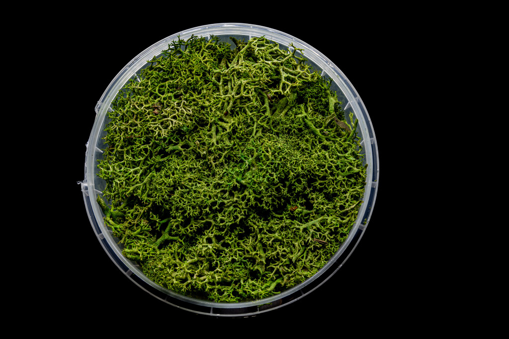 Green Hedge Basing Material 1