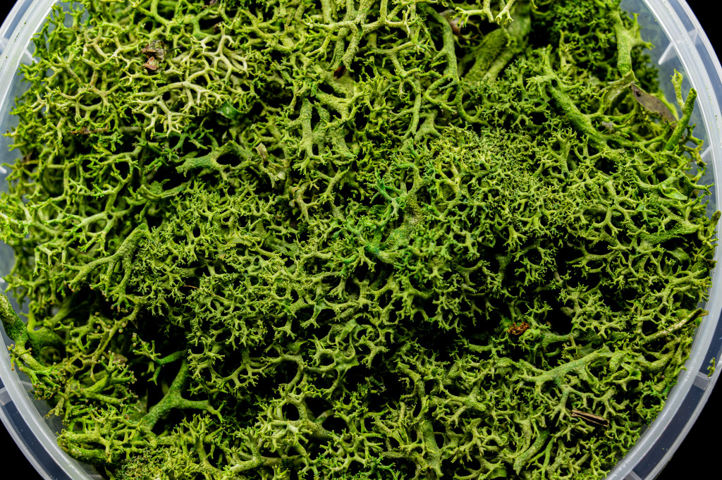 Green Hedge Basing Material 2