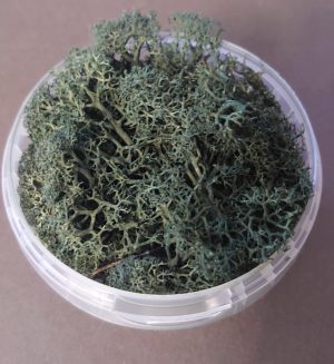 Darkwood Hedge Basing Material 1