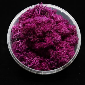 Coral Red Hedge Basing Material 1