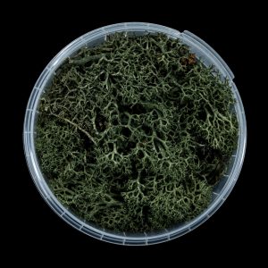 Darkwood Hedge Basing Material 1