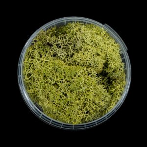 Putrid Hedge Basing Material 1