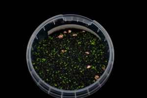 Bionic Sands Ancient Miniature Basing Material 1