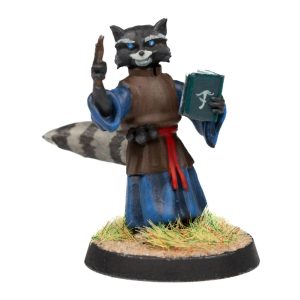 Raccoonfolk Wizard 1