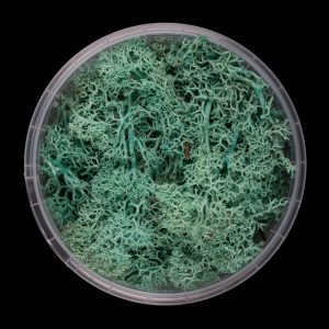 Alien Hedge Basing Material 1