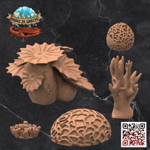 Coral Reef Set (5) 1