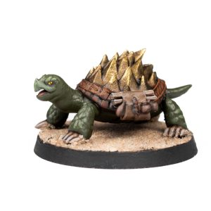 Tortoise Familiar 1