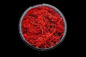 Bleeding Hedge Basing Material 1