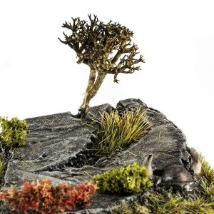 Scenic Bases