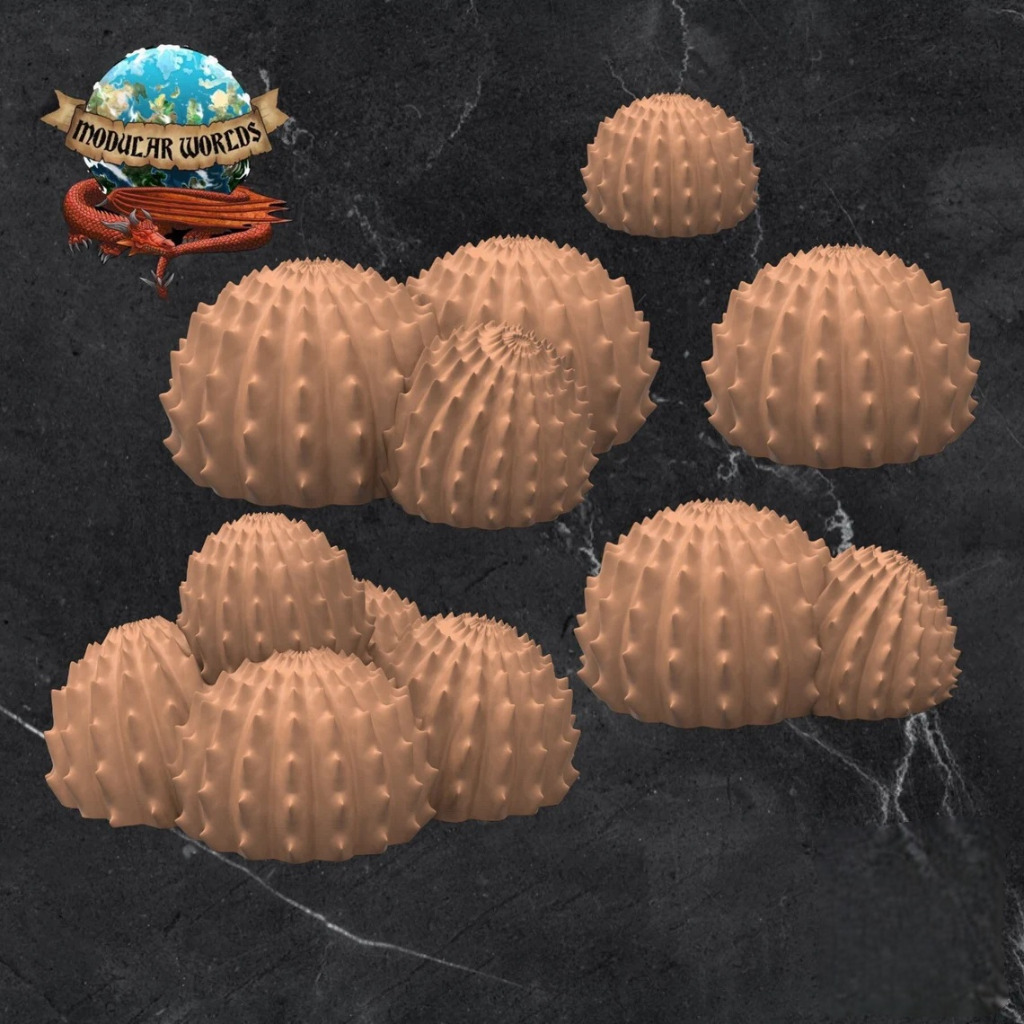Ball Cacti (10) 1