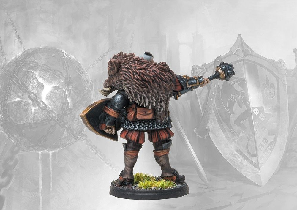 Lore Campaign Pack - Crucible of Wills: The Stone Face Campaign 5