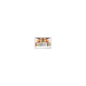 Crusader Banners & Shield transfers 1