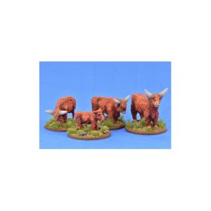 Highland Cattle 1