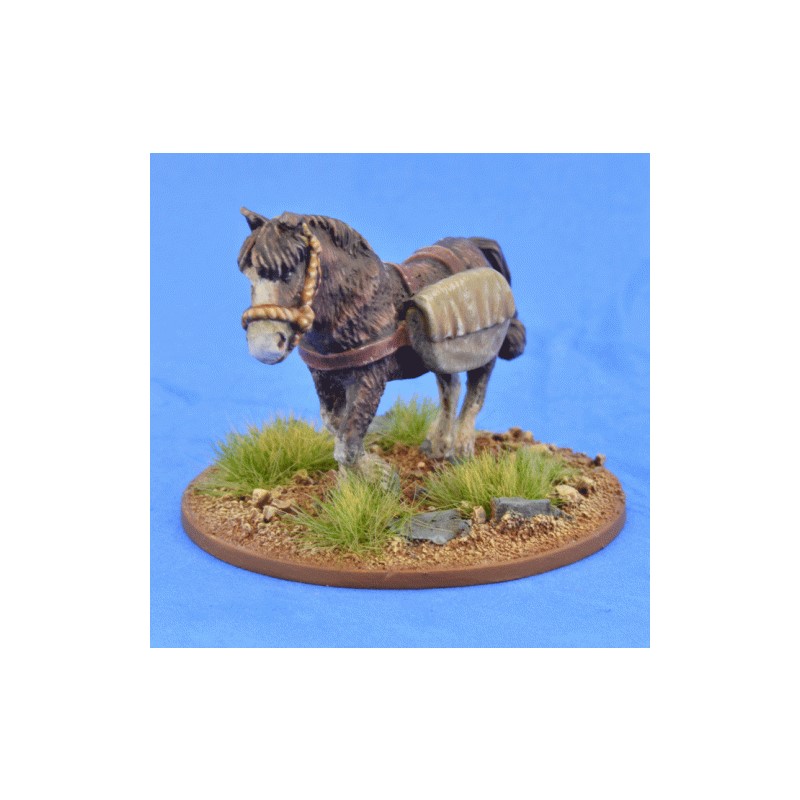 Pack Pony (Panniers) 1