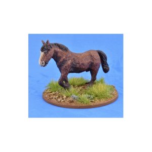 Shaggy Pony (Bareback) 1