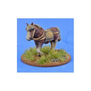 Riding Pony 1