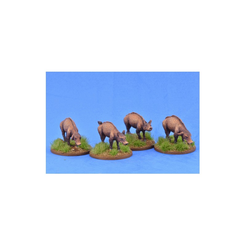 Piggies 1