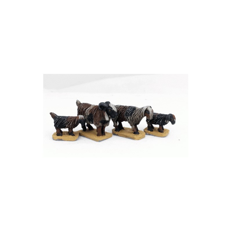 Goats 1