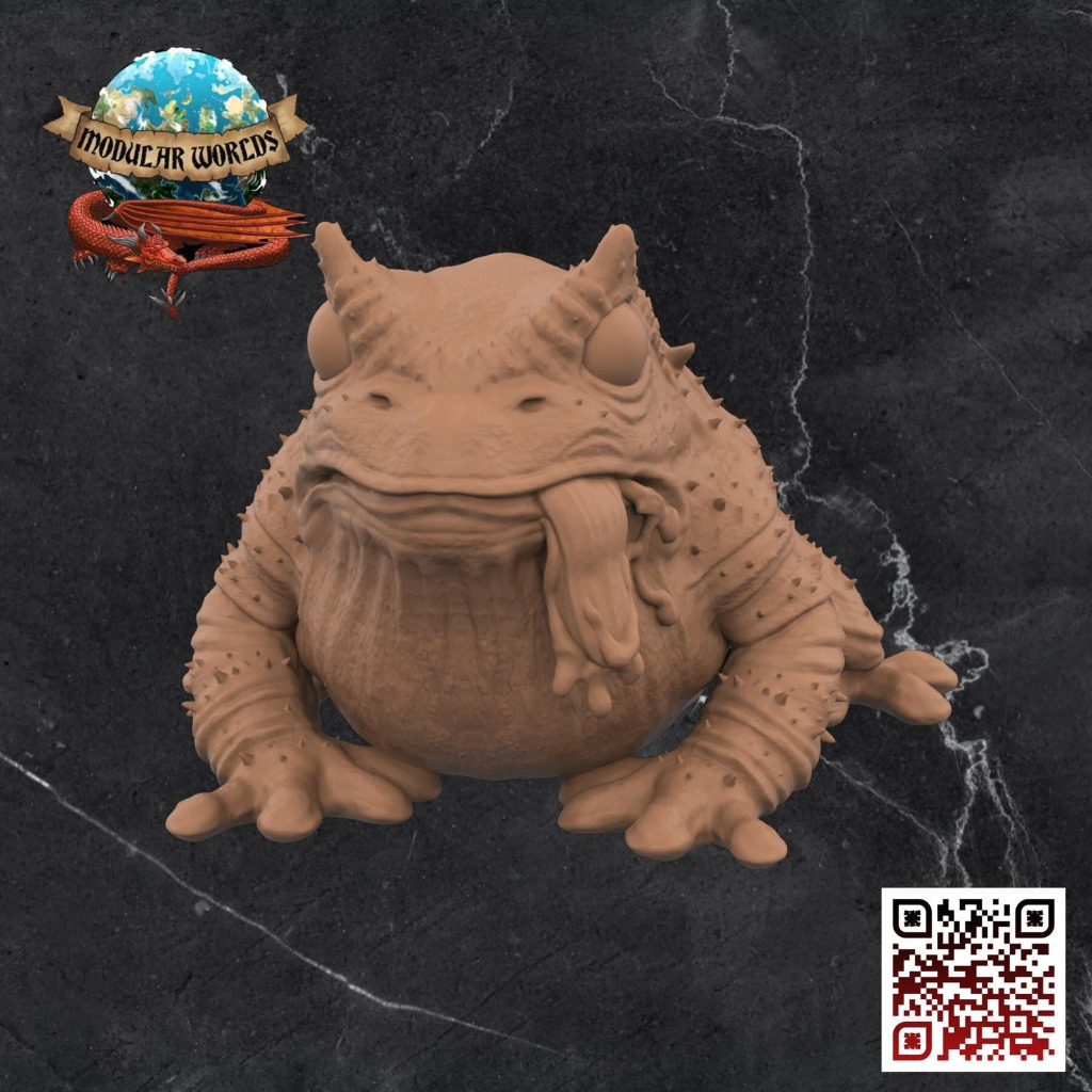 Hogeth Swamp Toad 1