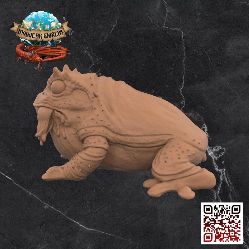 Hogeth Swamp Toad 2